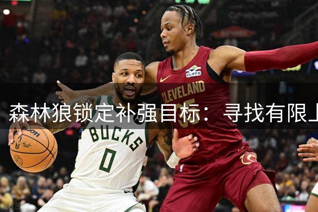森林狼锁定补强目标：寻找有限上场但作用显著的老将